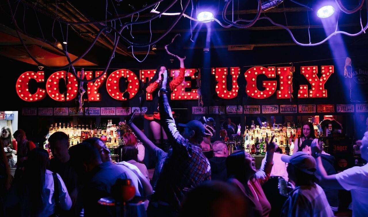 Гадкий койот бар в москве. Бар гадкий койот санкт-петербург. Coyote ugly казань бар. Бар гадкий койот санкт-петербург. Бар дикий койот питер.