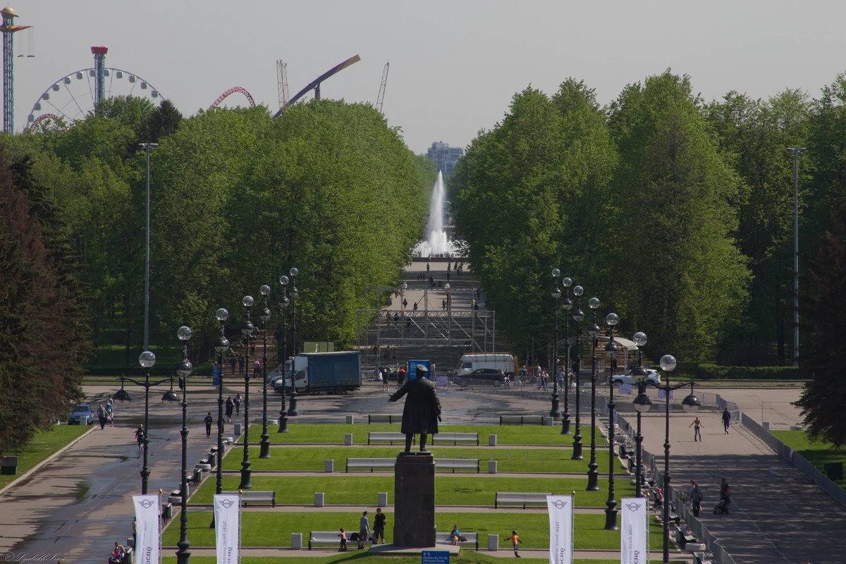 Приморский парк санкт петербург фото